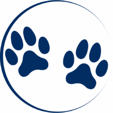 Animals Icon
