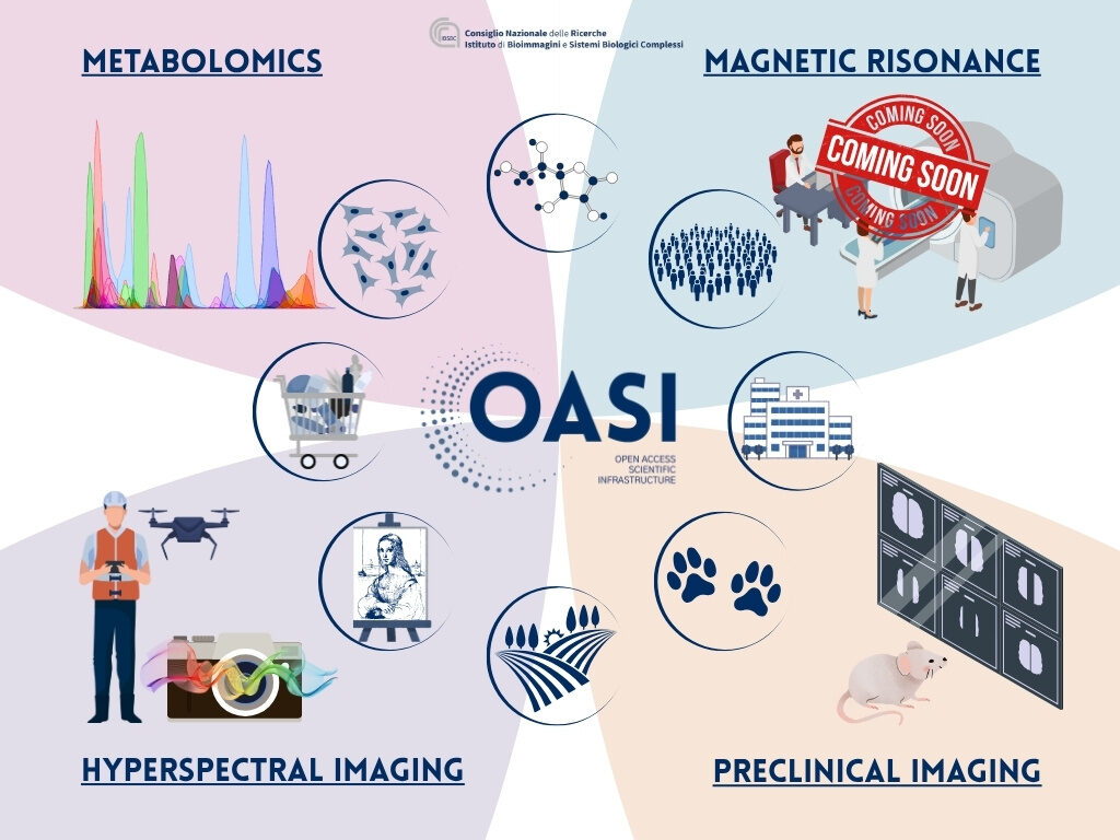 About Oasi