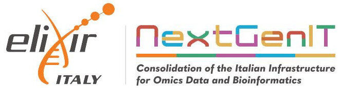 NextGenIT Elixir Logo