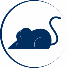Preclinical Imaging Icon